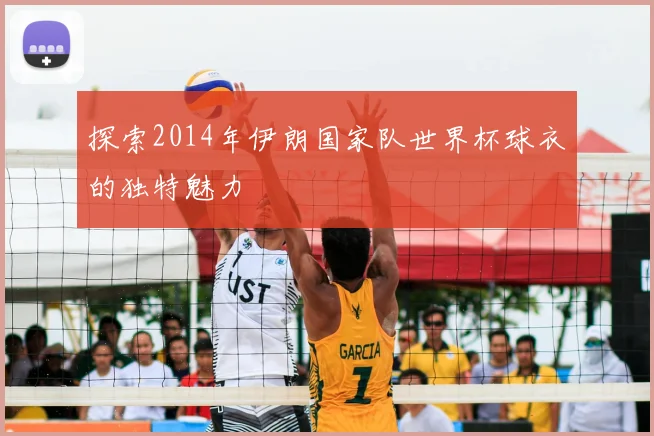 探索2014年伊朗国家队世界杯球衣的独特魅力