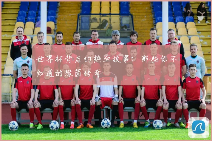 世界杯背后的热血故事：那些你不知道的绿茵传奇