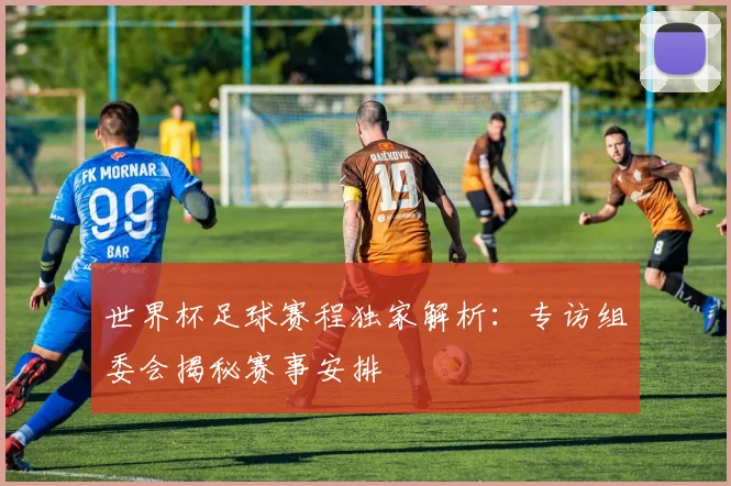 世界杯足球赛程独家解析:专访组委会揭秘赛事安排