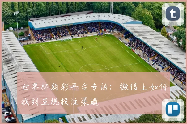 世界杯购彩平台专访:微信上如何找到正规投注渠道
