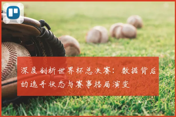 深度剖析世界杯总决赛：数据背后的选手状态与赛事格局演变
