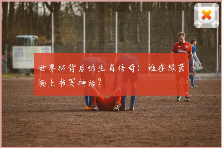 世界杯背后的生肖传奇:谁在绿茵场上书写神话?