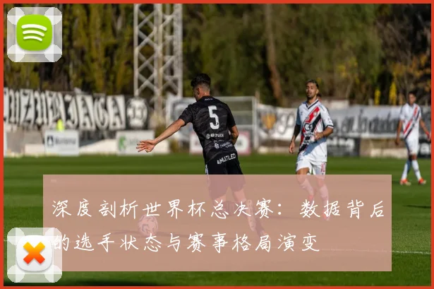 深度剖析世界杯总决赛：数据背后的选手状态与赛事格局演变