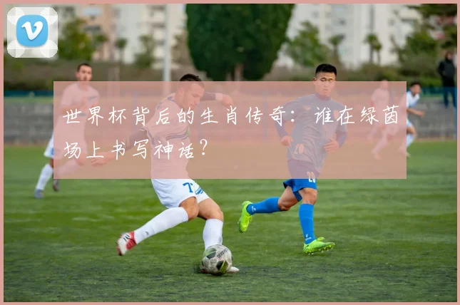 世界杯背后的生肖传奇：谁在绿茵场上书写神话？
