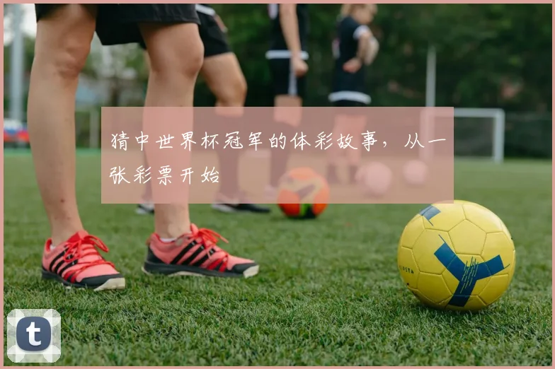 猜中世界杯冠军的体彩故事，从一张彩票开始