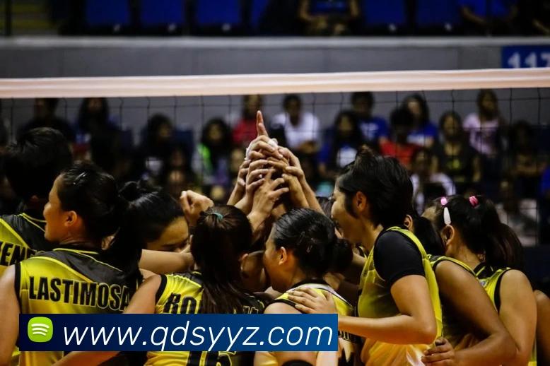 求一个能用的bsports网址服务体系